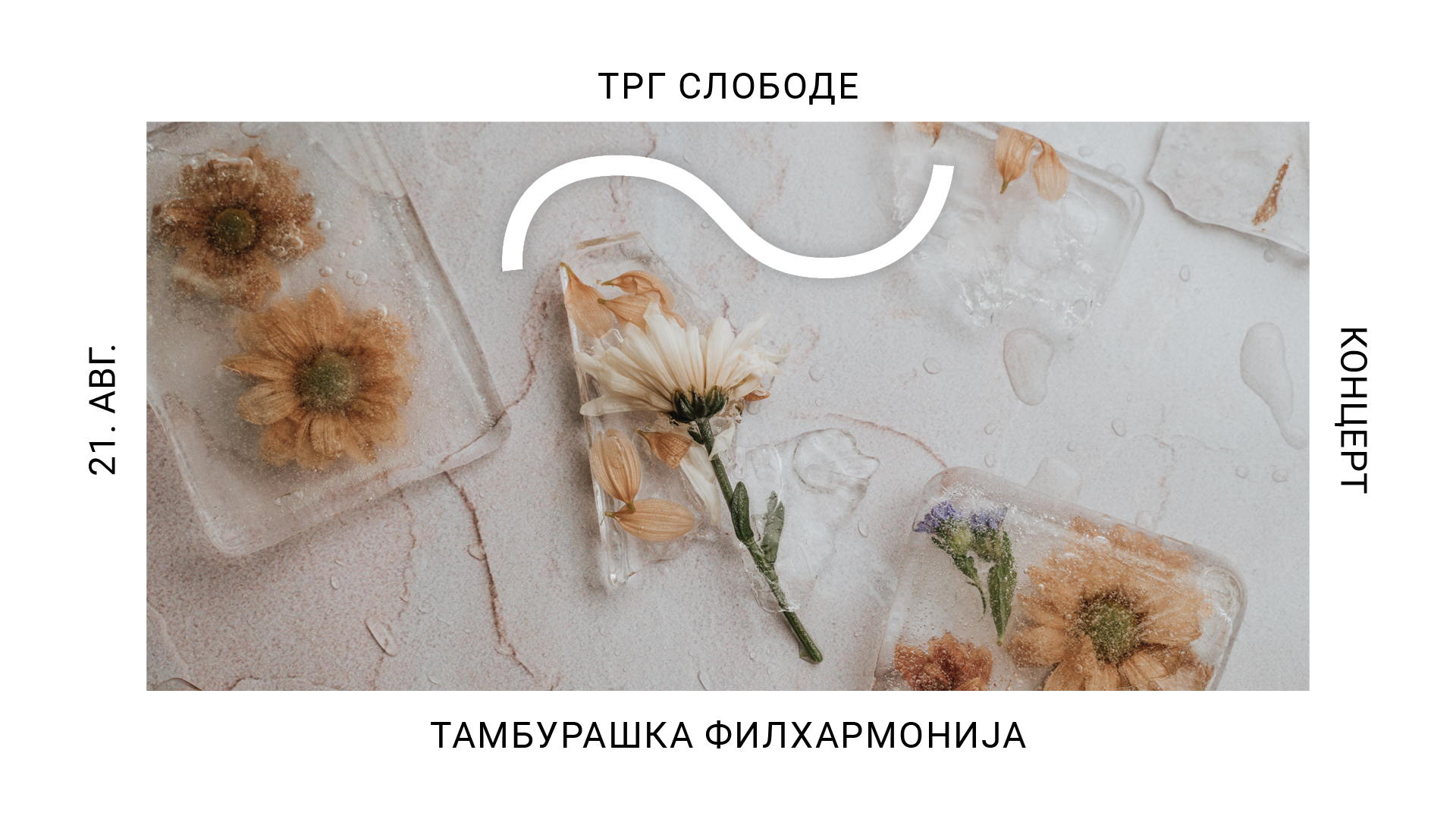 tamburaska_filharmonija1